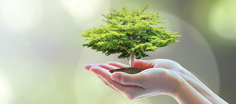 Geri dönüşüm / çevre yaklaşımı